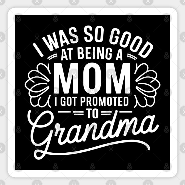 Promoted to Grandma Magnet by MakerMind8.2